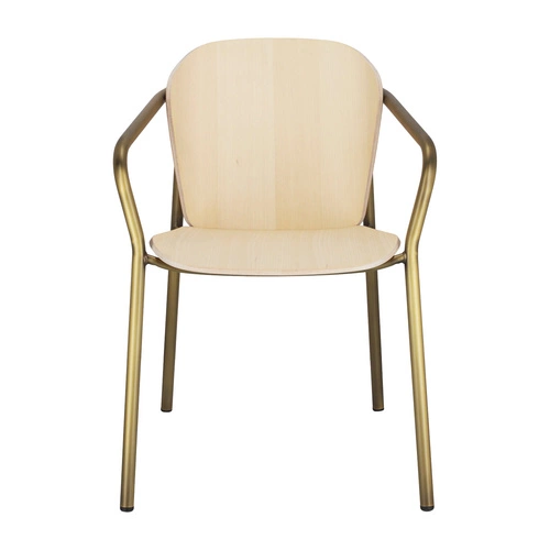 Krzesło do jadalni Finn drewniane z podłokietnikami na złotych nogach nowoczesne SCAB Design