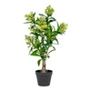 Sztuczne drzewo Skimmia 75cm