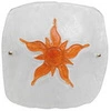 pomarańczowy