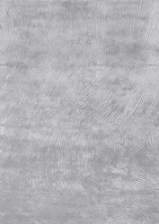 Dywan Canyon  Gray 200x300  Stone Collection