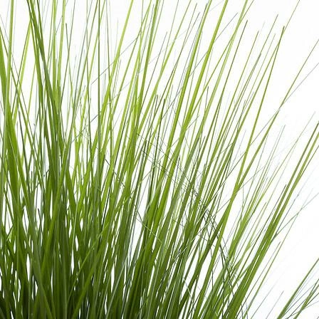 Sztuczna trawa doniczkowa Atmosphera 74cm zielona nowoczesna do salonu i na balkon