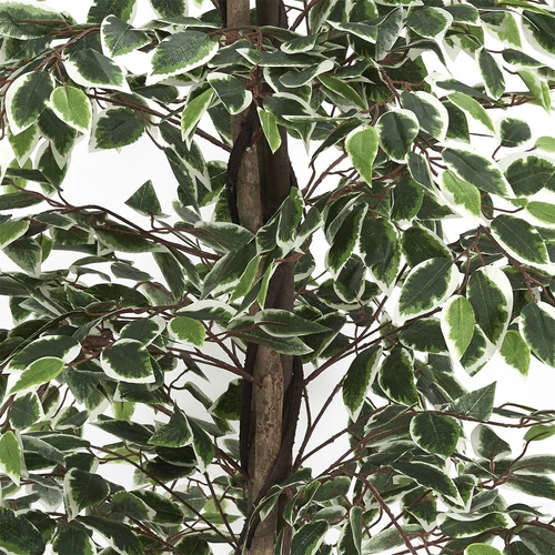 Sztuczne rośliny doniczkowe Benjamin 170 cm Intesi nowoczesny fikus do salonu