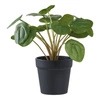 Sztuczny kwiat Pelia 28cm