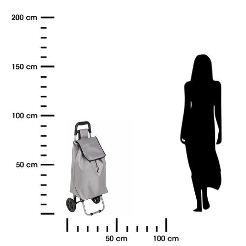 Wózek na zakupy Aquarelle z 2 kołami szary