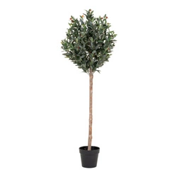 Sztuczne drzewko oliwne 150cm