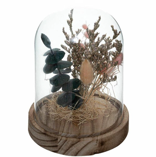 Suszone kwiaty pod kloszem House