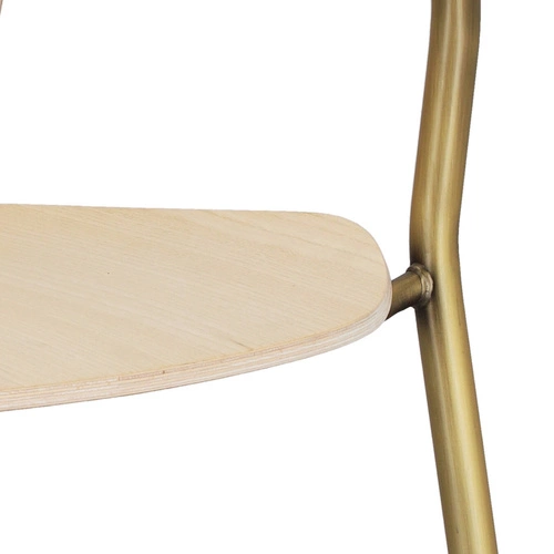 Krzesło do jadalni Finn drewniane z podłokietnikami na złotych nogach nowoczesne SCAB Design