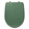Deska sedesowa Duo zielona z duroplastu do toalety nowoczesna
