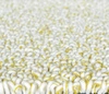 Dywan do salonu wełniany Trace Loop turmeric yellow 170x240 nowoczesny miękki łatwy w czyszczeniu