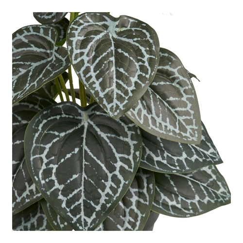 Fittonia sztuczna doniczkowa 33 cm House Nordic do salonu i przedpokoju