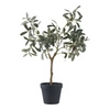 Sztuczne drzewko oliwne 61cm