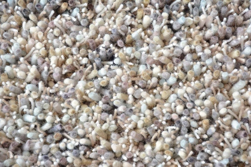 Dywan shaggy wełniany Shaggy Young szary ciemny 160x230 do salonu nowoczesny łatwoczyszczący