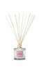 Dyfuzor Santiago Reed 100ml. Nordic angelic