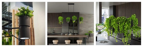 Lampa wisząca KUKKIA czarna 4-punktowa nowoczesna do salonu i jadalni nad stół