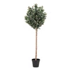 Sztuczne drzewko oliwne 150cm
