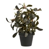 Sztuczna roślina Peperomia 35 cm House Nordic do salonu i przedpokoju