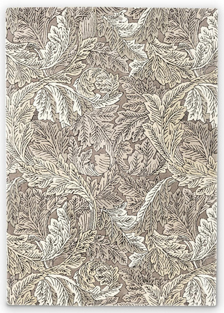 Dywan Acanthus Mole 170x240cm