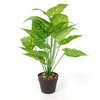 Sztuczna roślina Alocasia 55cm