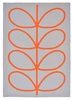 Dywan zewnętrzny Giant Linear Stem Persimmon 250x350cm