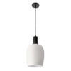 Lampa wisząca WOLKEN lampa wiszaca  czarny 1x40W E27 klosz biały