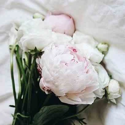 Świeca sojowa zapachowa French Linen Cereria Molla w szkle na prezent 230g beżowa