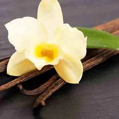 Świeca Premium 230gr. Bois de Santal Imperial