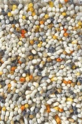 Dywan shaggy Shaggy Rocks 140x200 wełniany nowoczesny do salonu i sypialni łatwy w czyszczeniu