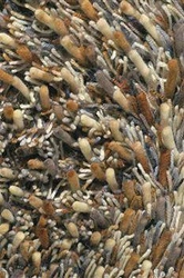 Dywan shaggy do salonu Shaggy Spring brązowy wełniany nowoczesny 200x300 Carpets&More