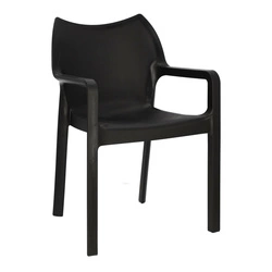 Krzesło Dionisio Black Arm chair Outlet