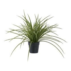 Sztuczna trawa jak żywa Intesi w czarnej donicy 45cm nowoczesna dekoracja do salonu
