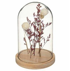 Suszone kwiaty pod kloszem Gypsy