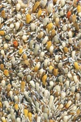 Dywan shaggy wełniany Shaggy Spring beżowy 140x200cm do salonu nowoczesny łatwy w czyszczeniu