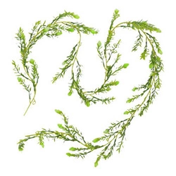 Sztuczna girlanda pąki zielone 170 cm Intesi nowoczesne sztuczne rośliny do salonu