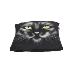 NERO poduszka dekoracyjna welurowa z nadrukiem kota 40x40 cm do salonu Intesi