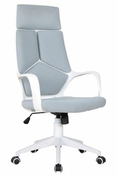 Fotel biurowy ergonomiczny Alenda szary obrotowy z podłokietnikami do biurka Intesi