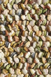 Dywan wełniany do salonu Marble zielony 170x240 cm ręcznie tkany vintage łatwoczyszczący