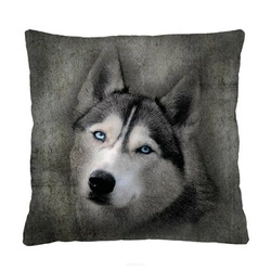Poduszka dekoracyjna HUSKY antyalergiczna do salonu i sypialni 40x40 cm