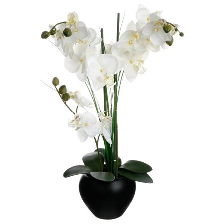 Sztuczna orchidea w czarnej doniczce 53 cm