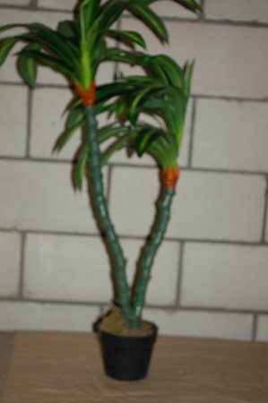 Sztuczna roślina Dracena 130cm Outlet