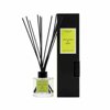 Dyfuzor Santiago Reed 100ml Eucalyptus and mint