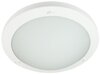 Plafon Aquila plafon 31 10W LED 6500K  biały IP44