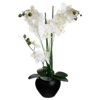 Sztuczna orchidea w czarnej doniczce 53 cm