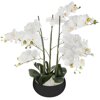 Sztuczna orchidea z czarną doniczką 65    cm